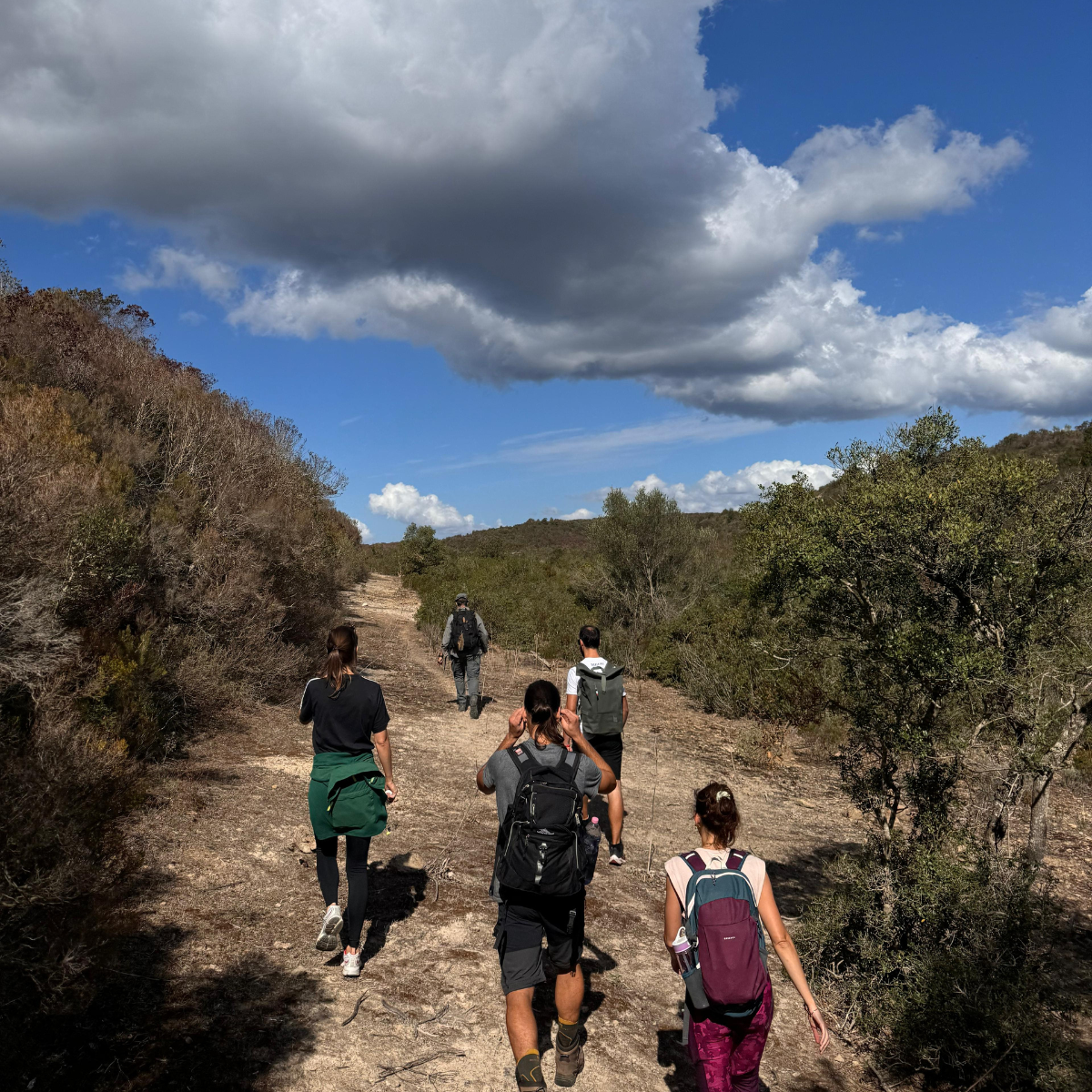 Into the Wild: Sa Rutta Experien